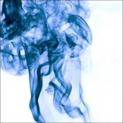 L'expression  Avoir le sang bleu  signifie :