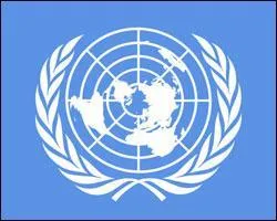 Comment appelle-t-on galement les soldats de l'ONU ? (Organisation des Nations Unis) ?