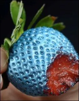 Sur une tranche de pain, un morceau de bleu c'est dlicieux ! De quoi s'agit-il ?