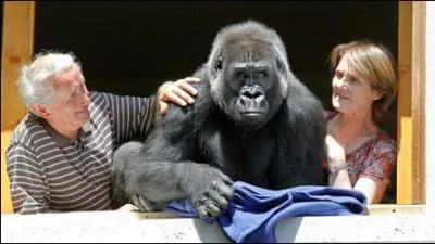 Trouvez le nom du personnage de fiction !