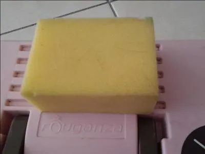 Comment s'appelle cette brosse ?