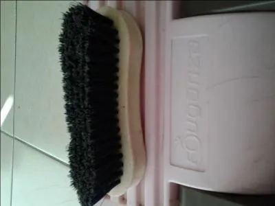 Comment s'appelle cette brosse ?