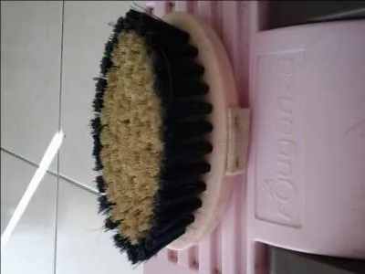 Comment s'appelle cette brosse ?