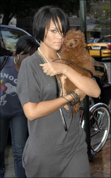 De qui Rihanna est-elle enceinte d'aprs les rumeurs?