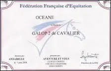 Comment appelle-t-on les tests en quitation ?