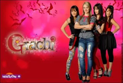 Qui sont  les panthres rouges  ?