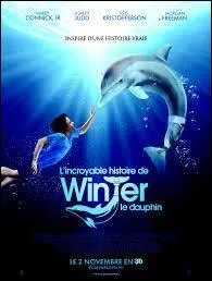 Dans le film  L'incroyable histoire de Winter le dauphin  qui joue le rle du petit garon ?
