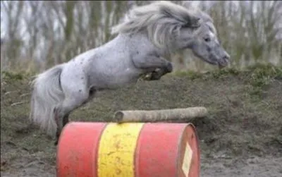 Quel est le nom de cet obstacle ?