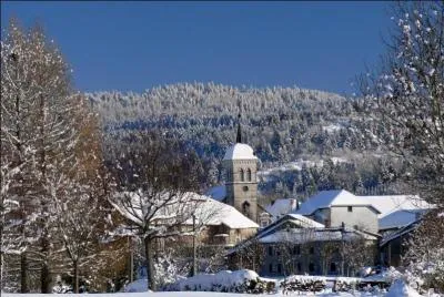 De ces quatre dpartements, lequel n'est pas limitrophe de celui de l'Ain ?