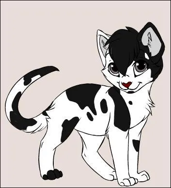 Quel est le nom de guerrier d'toile Filante ?