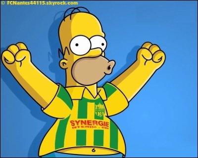 Homer porte le maillot d'une équipe qui est remontée en Ligue 1 lors de la saison 2012/2013, c'est le club de :