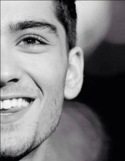 Quelle est la passion de Zayn ?