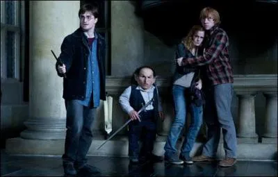 Ne croyant pas la version donne par Hermione Granger, la Mangemort Bellatrix Lestrange envoie Peter Pettigrow chercher le gobelin Gripsec qui pourra confirmer ou infirmer les propos de Hermione Granger. Prsent  Bellatrix Lestrange, quelle version le gobelin va-t-il donn ?