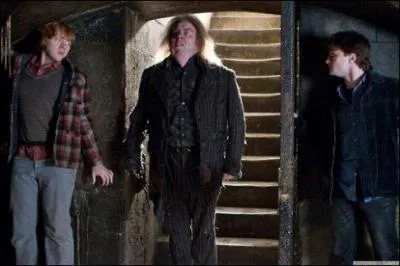 Ayant conduit les sorciers en lieu sr, l'elfe de maison Dobby revient  grande vitesse seconder Harry Potter, toujours enferm avec Ron Weasley dans les cachots. Face  ces mouvements incessants et ces agitations constantes, Peter Pettigrow perd patience et descend  nouveau vers la prison. Comment l'affrontement va-t-il bien pouvoir se terminer ?