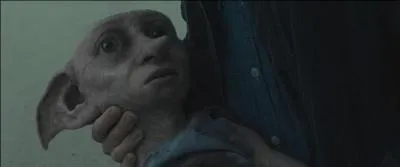 Alors qu'ils partent  toute vitesse du manoir des Malefoy, Bellatrix Lestrange lance un poignard en direction de Dobby, de Gripsec et de toute la troupe de sorciers. Qui succombera  ses blessures aprs avoir reu le poignard dans la poitrine ?