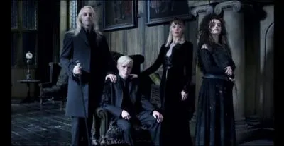 Face au doute certain qu'prouvent les serviteurs du Seigneur des Tnbres, ces derniers choisissent d'emmener leurs otages au quartier gnral, soit au manoir des Malefoy. Combien de membres de la famille Malefoy sont prsents  ce moment-l ?