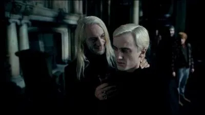 Une fois les sorciers arrivs au manoir des Malefoy, la Mangemort Bellatrix Lestrange cherche  savoir si la personne en question est bien Harry Potter. Lucius Malefoy s'apprte  appeler le Seigneur des Tnbres mais il lui faut tre sr qu'il s'agit bien du bon sorcier. Quelle personne est charge d'identifier si le sorcier en question est bien Harry Potter ou non ?