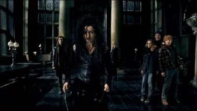 Alors que le doute plane toujours sur l'identit de Harry Potter, Bellatrix Lestrange perd soudainement son sourire lorsqu'elle aperoit un objet sacr dans les mains d'un des membres de la milice qui a trouv Harry Potter et ses amis. De quel objet s'agit-il ?