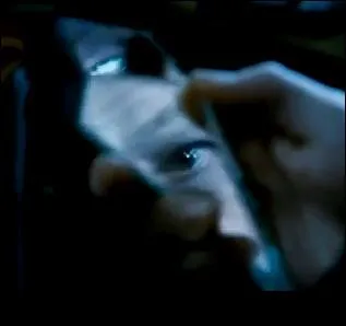 Emprisonn, Harry Potter cherche un moyen de s'chapper pendant que les hurlements de Hermione Granger, torture par Bellatrix Lestrange, traumatisent Ron Weasley. Peu aprs, un des bouts du miroir  double sens tombe de la chaussette de Harry Potter. Alors qu'il demande  l'aide, que semble voir Harry Potter au travers du miroir ?