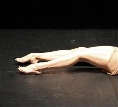 Cette magnifique danseuse fut nomme Officier des Arts et des Lettres en 2011.