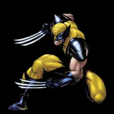 De quelle quipe fait partie Wolverine ?