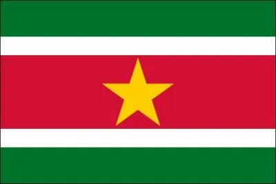 Ce drapeau est de quel pays ?