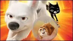 Comment s'appelle ce film ?