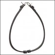 Quelle est cette partie du filet ?