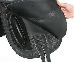 Quelle est cette partie de la selle ?