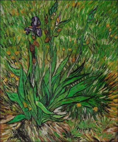 Qui a peint L'iris ?