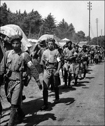 Lors de la campagne d'Italie, quel tait le pourcentage de Maghrbins dans le CEF (corps expditionnaire franais) ?