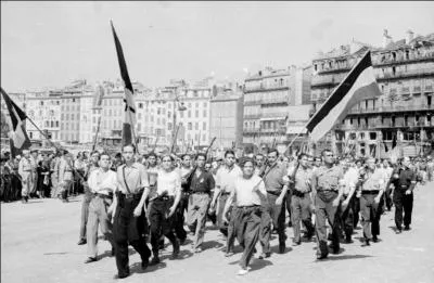 Laquelle de ces organisations rsistantes ne fit pas partie des FFI ?