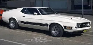 La puissance amricaine ! Voici une Ford Mustang...