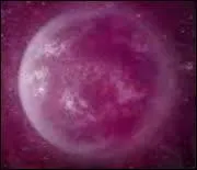 Comment se nomme cette plante ?