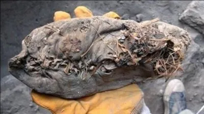 A Cleverland (Ohio), qu'est-ce que les femmes ne sont pas autorises  porter ?