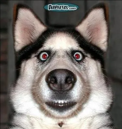 En Oklahoma, vous risquez la prison si vous faites des grimaces. Mais  qui ?