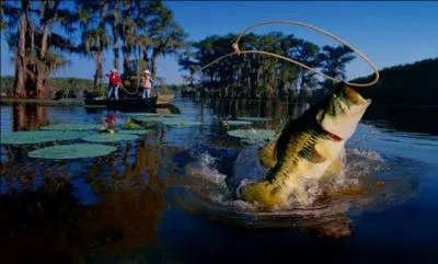 J'aimerais bien voir cela ! Au Tennessee, il est illgal de pcher avec un certain objet. Quel est cet objet ?