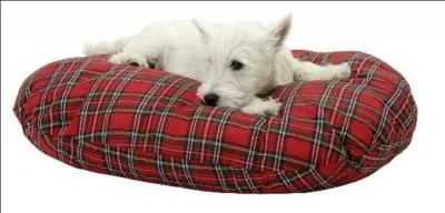 Dans l'Etat de Washington, que doit faire une femme qui dsire s'assoir sur les genoux d'un homme, si elle ne veut pas tomber sur le coup de la loi ?