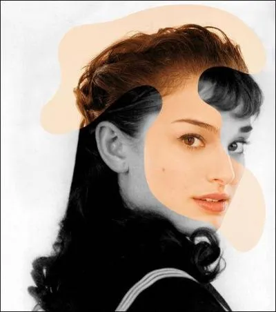 Un petit morceau de l'une mlang  un petit bout de l'autre, et a donne :