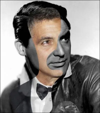 Dans un grand plat, vous mlangez un morceau de l'un et un bout de l'autre, mettre  feu doux pendant quelques minutes, et a donne :