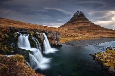 Quel oiseau pouvez-vous rencontrer dans les plaines de Mongolie ?