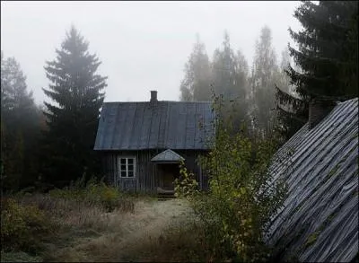 A prsent nous sommes dans les Alpes franaises, quel oiseau aurons-nous peut-tre la chance de rencontrer ?