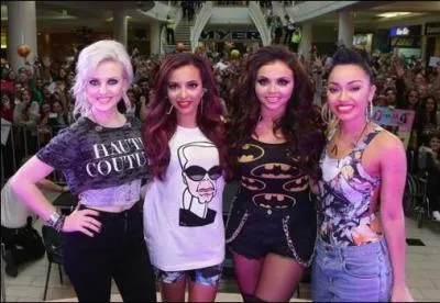 Les Little Mix ont un single qui s'appelle  La raison de vivre .