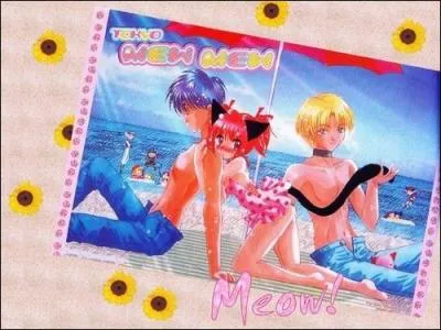 Laquelle de ces chanes amoureuses est juste ?