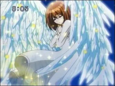 Quel est le lien entre Mikaru et Michel dans  Pichi Pichi Pitch Pure  ?