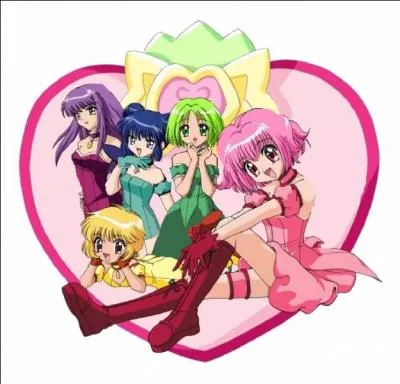 Qui est  l'origine du projet  Mew Mew  ?