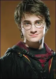 Parmi ces personnages, qui ne s'est pas transform en Harry Potter ?
