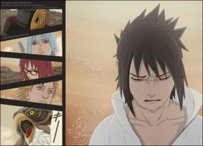 Que veut faire cette quipe ?