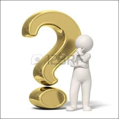 Longane, que suis-je ?