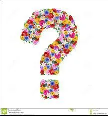 Troglodyte mignon, je dsigne :